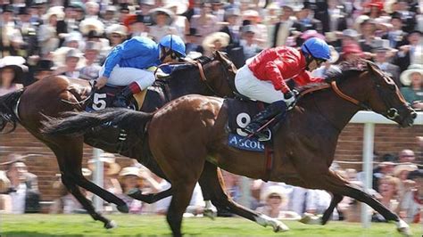 bbc horse|bbc horse racing documentary.